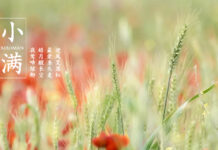 【中英希三语】二十四节气:小满 Grain Buds Ανθός Δημητριακών